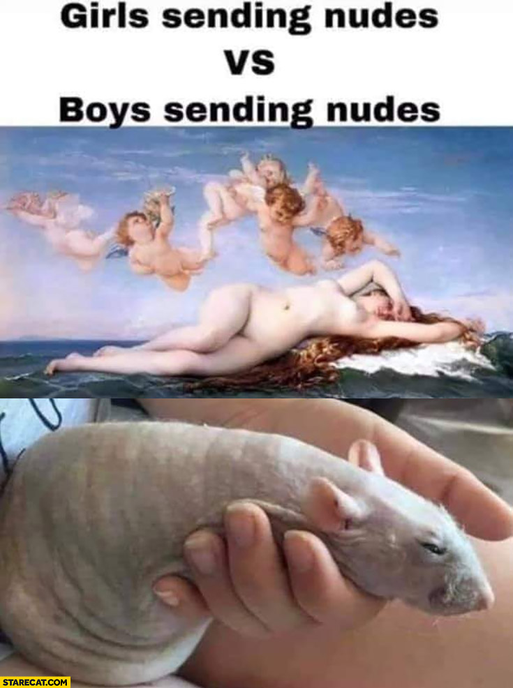 Girls sending nudes vs boys sending nudes comparison