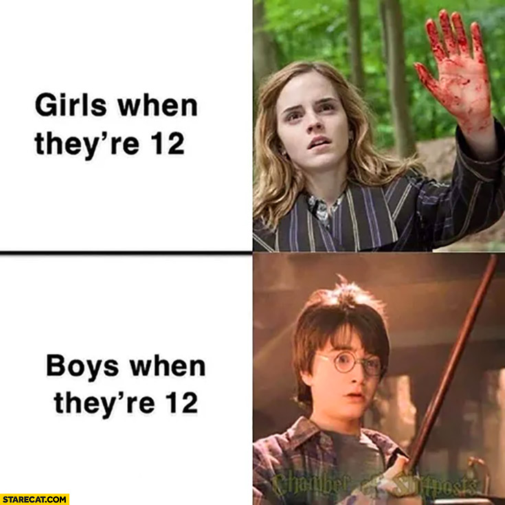 Girls when they’re 12 vs boys when they’re 12 Hermione Harry Potter
