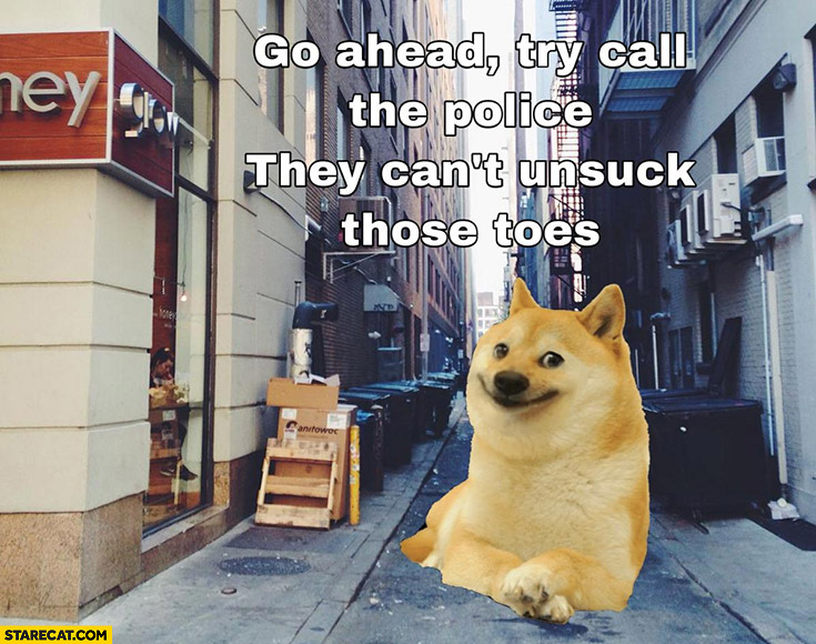 Go ahead try call the police they can’t unsuck those toes doge dog