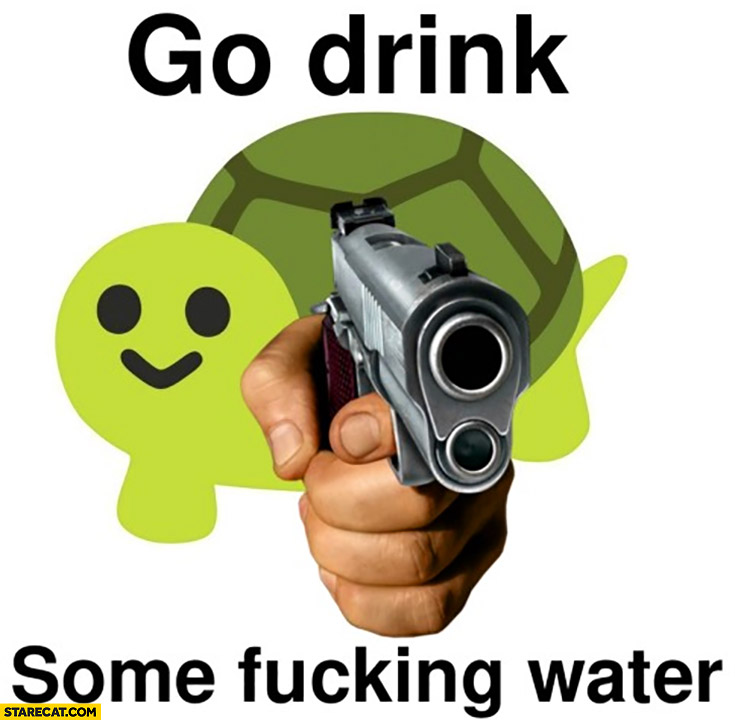 Go drink some damn water turtle tortoise aiming with a gun