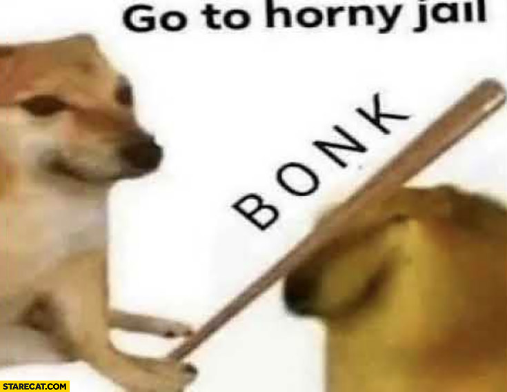 Go to horny jail bonk doge with a stick dog meme