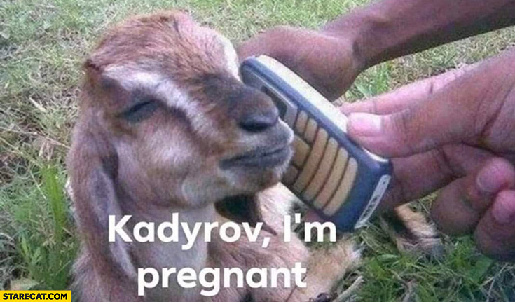 Goat calling Kadyrov I’m pregnant