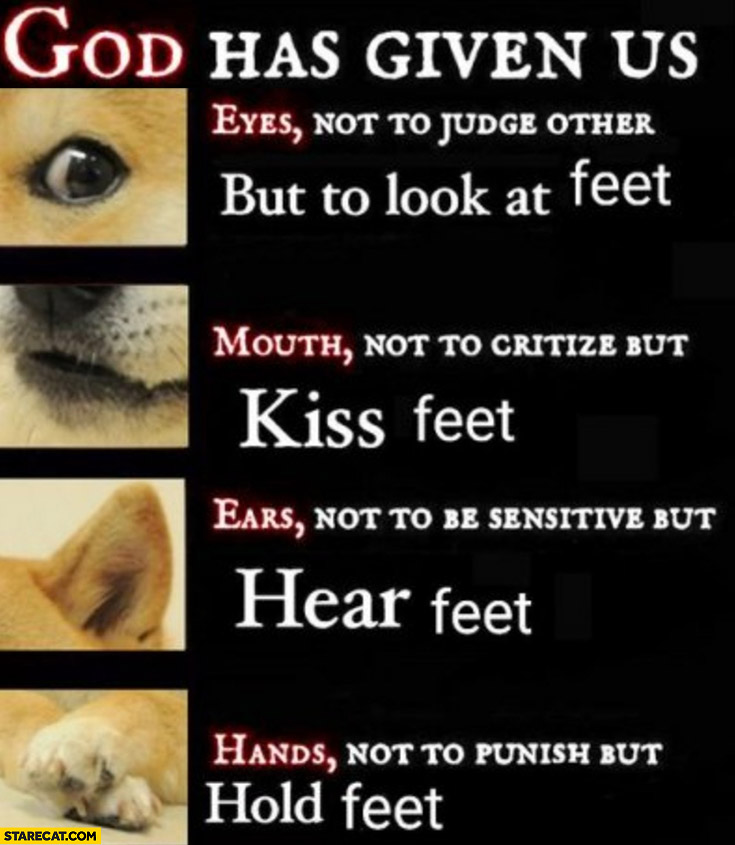 God has given eyes to look at feet, mouth to kiss feet, ears to hear feet, hands to hold feet dog doge