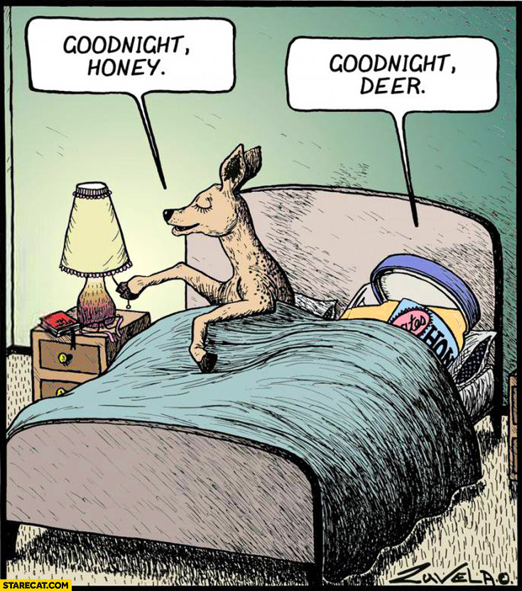 Goodnight honey, goodnight deer.