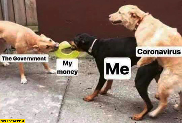 Government, my money and coronavirus dogs fighting