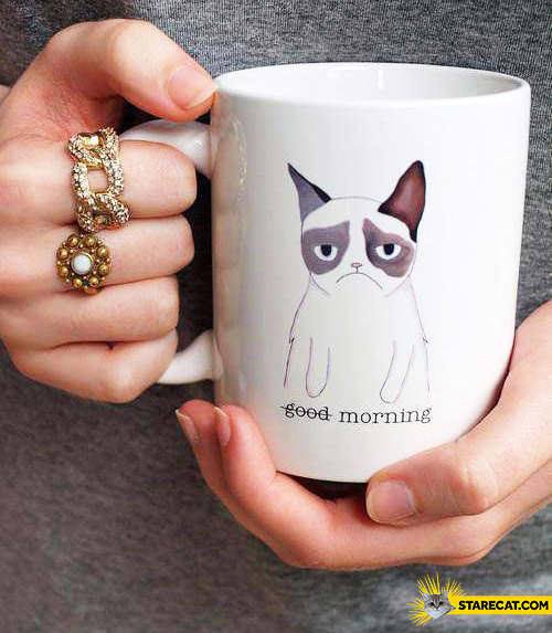 Grumpy Cat good morning mug