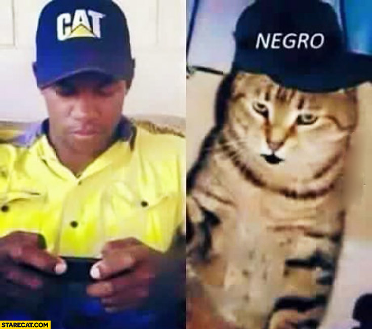 Guy wearing cat hat cat wearing negro hat