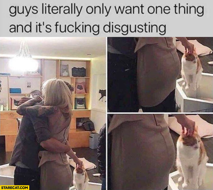 Guys literally only wan one thing and it’s disgusting petting cat