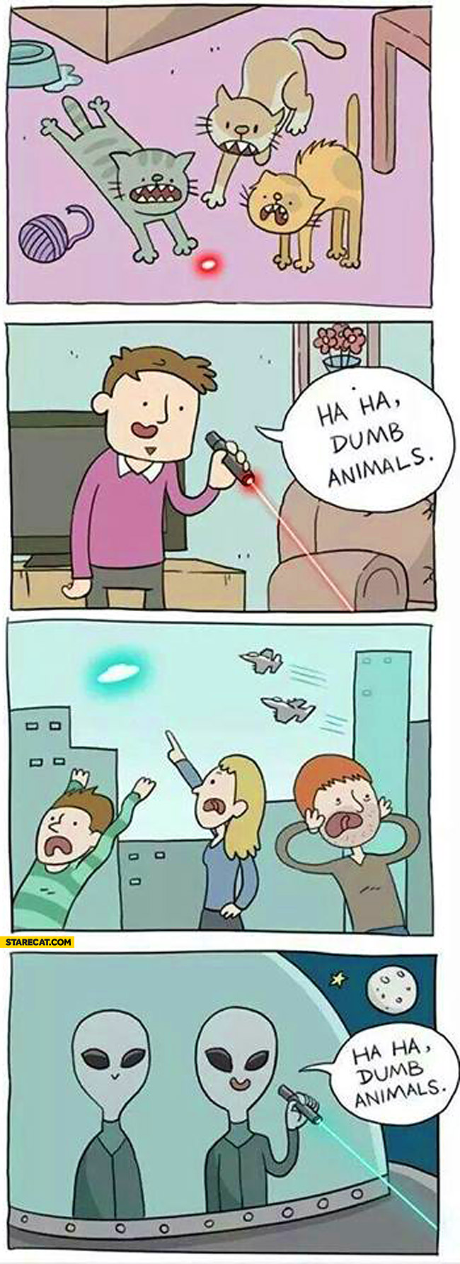 Ha ha dumb animals