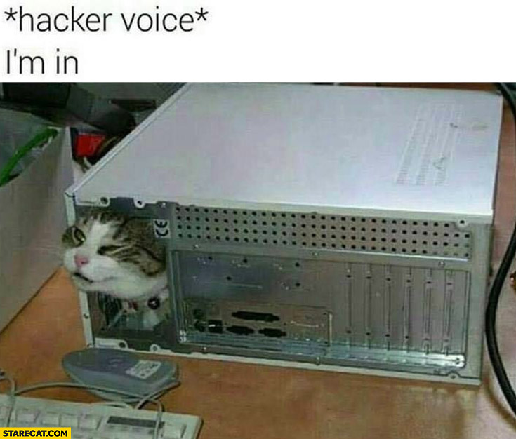 Hacker voice: I’m in cat inside a PC computer