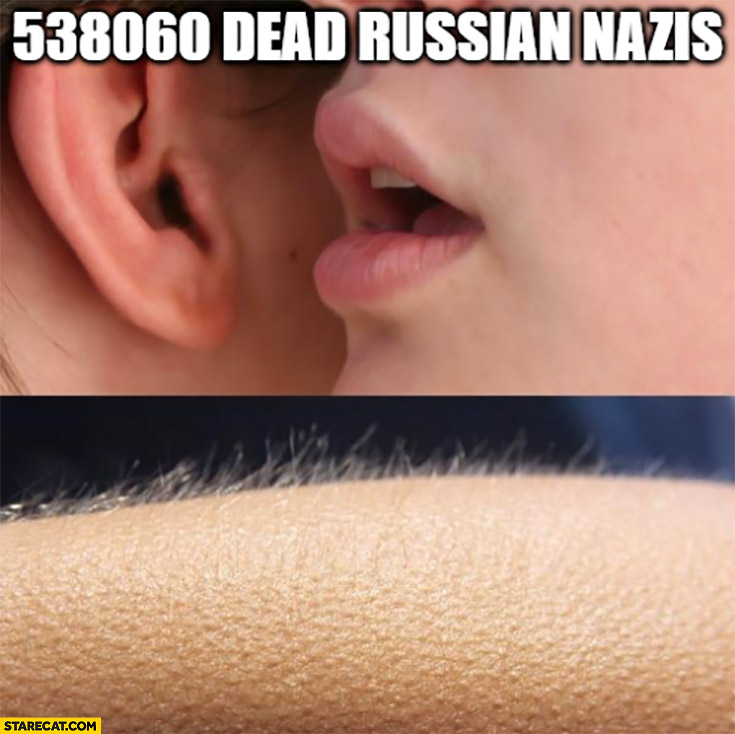 Half milion dead russian nazis goosebumps reaction