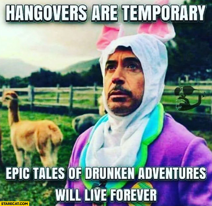 Hangovers are temporary, epic tales of drunken adventures will live forever