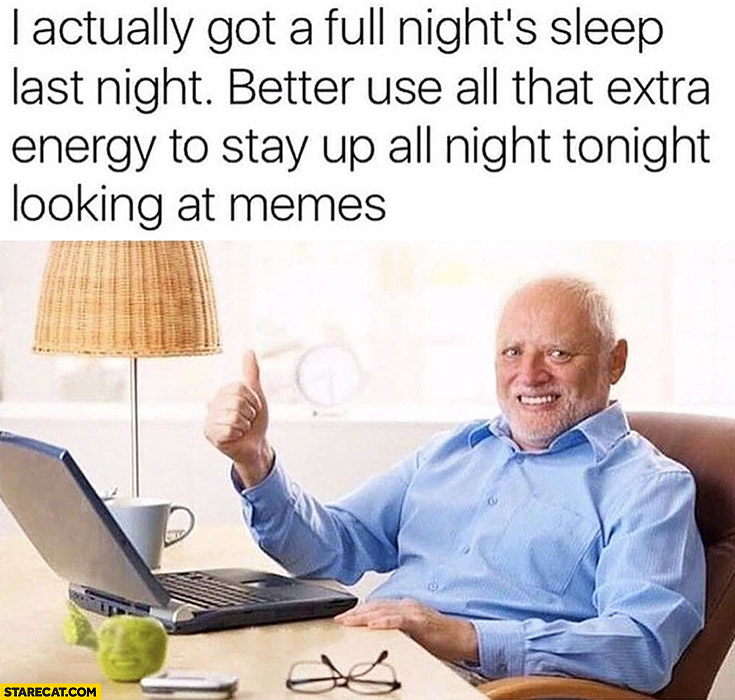Harold meme I actually got a full night’s sleep last night, better use all that extra energy to stay up all night looking at memes