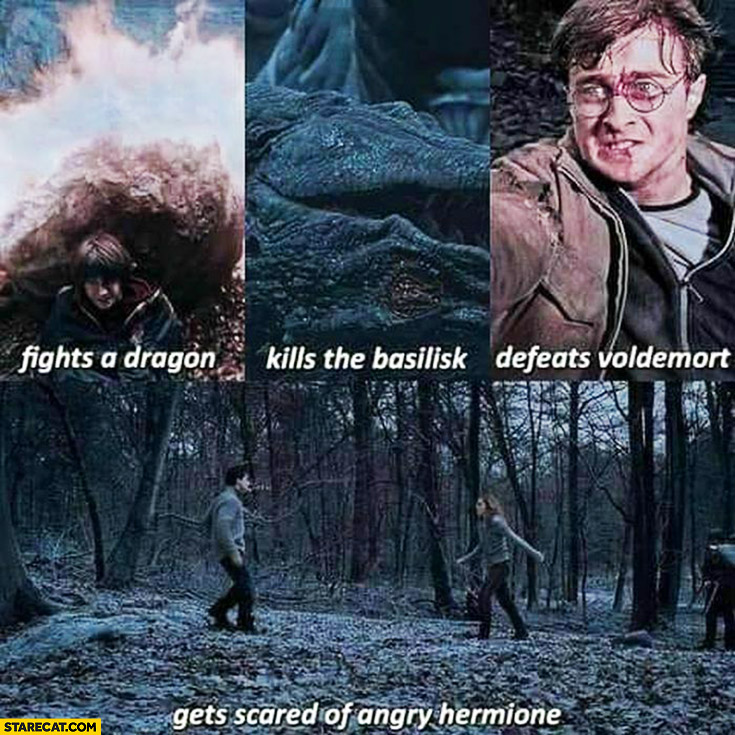 Harry Potter fights a dragon, kills the basilisk, defeats Voldemort, gets scared of angry Hermione