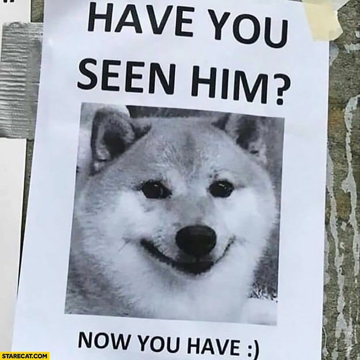 Have you seen him? Now you have doge poster