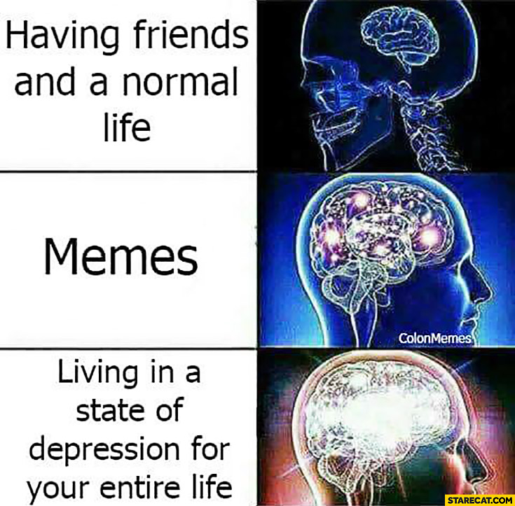 Having friends and a normal life, memes, living in a state of depression for your entire life brain meme