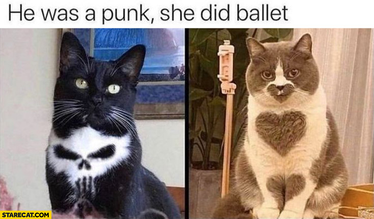 He was a punk, she did ballet cats skull heart