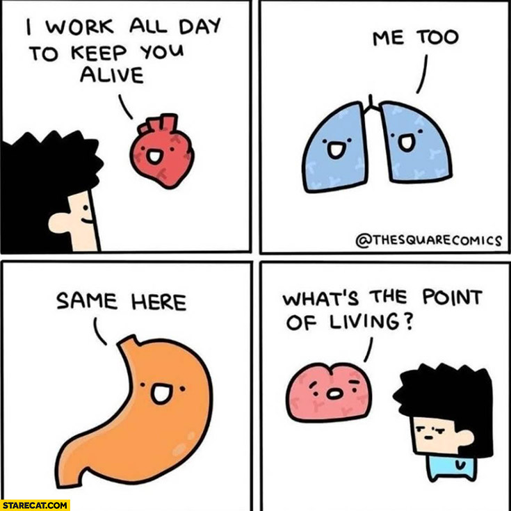 Heart: I work all day to keep you alive, lungs liver: me too same here, brain: what’s the point of living comic