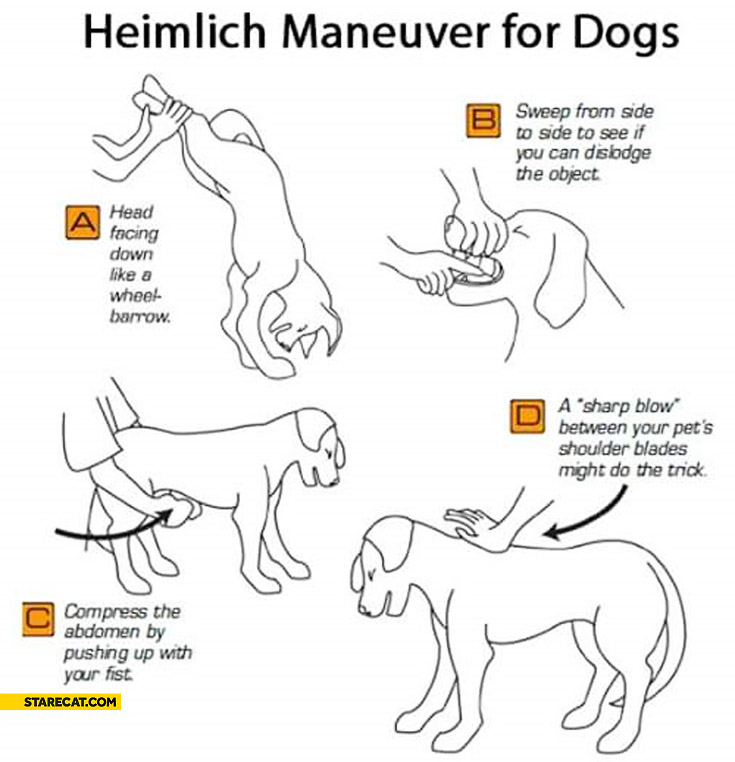 Heimlich maneuver for dogs