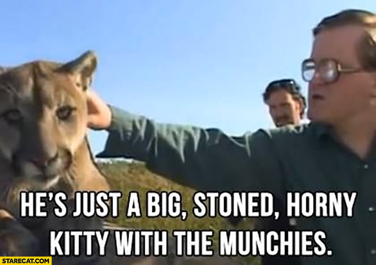 He’s just a big stoned horny kitty with the munchies Bubbles Trailer park boys