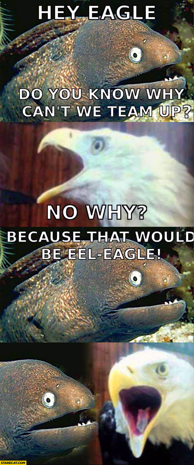 Hey eagle do you know why can’t we team up? Because that would be eel eagle