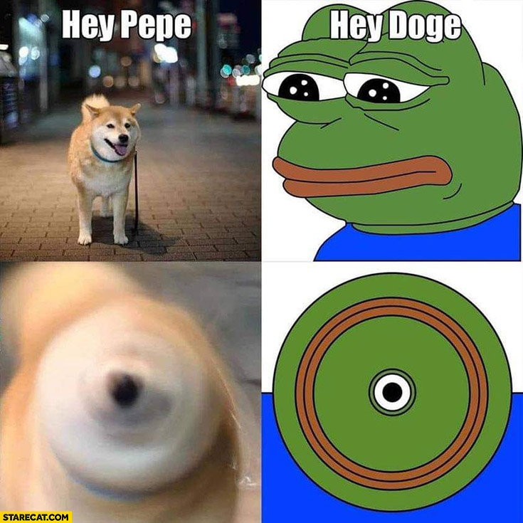 Hey Pepe hey doge twirl head shaking