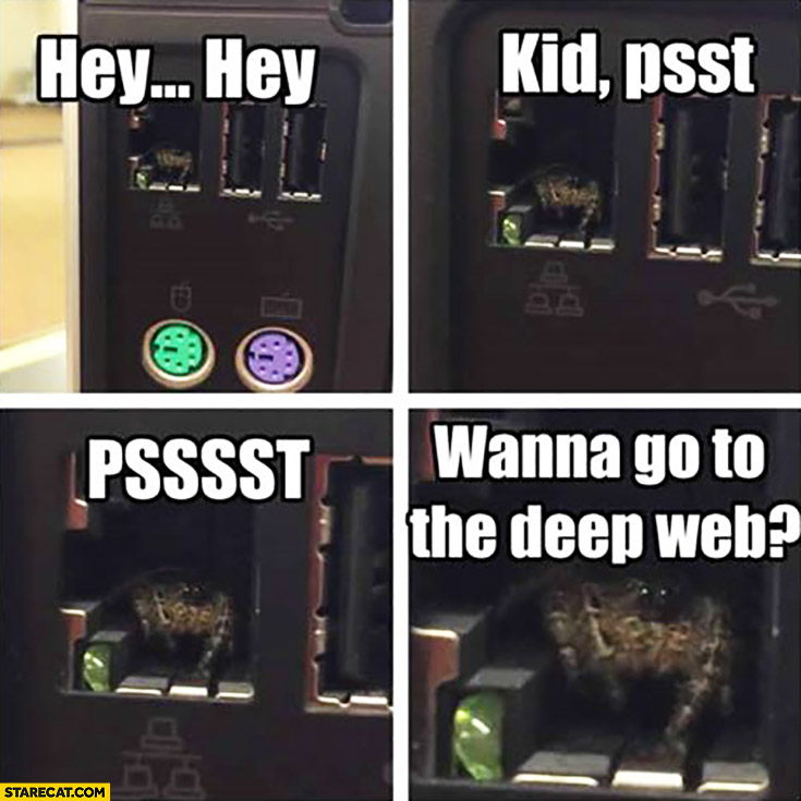 Hey psst wanna go to the deep web? Spider in ethernet port