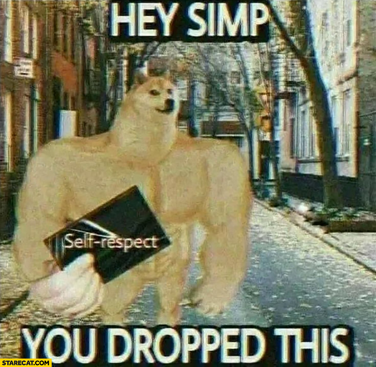 Hey simp you dropped this self-respect dog doge