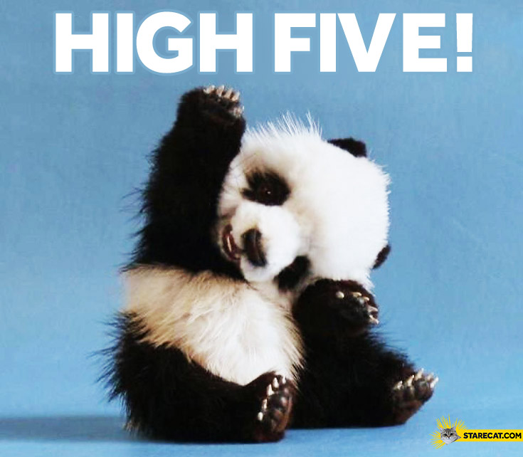 High five panda