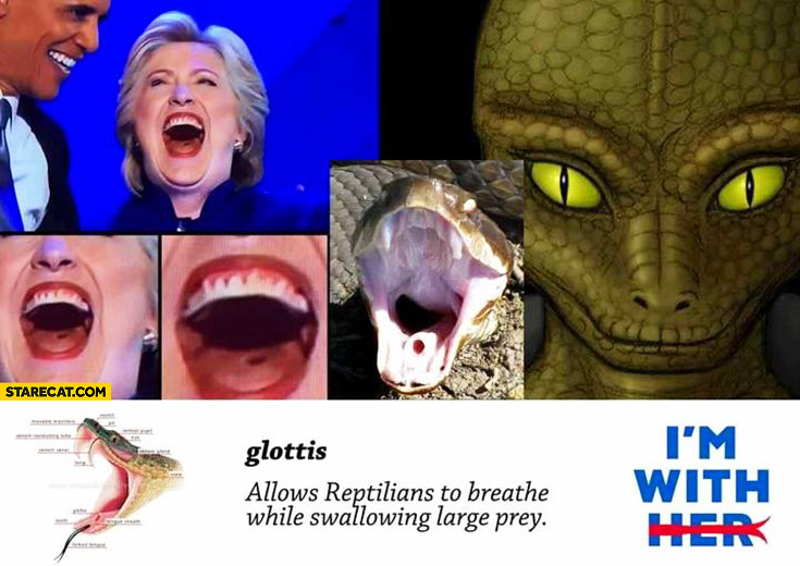 Hillary Clinton glottis – allows reptilians to breathe while swallowing large prey tongue hole