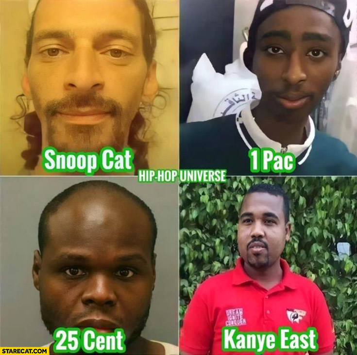 Hip-hop rap alternative universe: Snoop Cat, 1 Pac, 25 cent, Kanye East