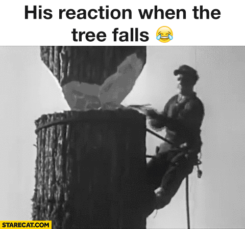 His reaction when the tree falls. Man chopping gif animation looped