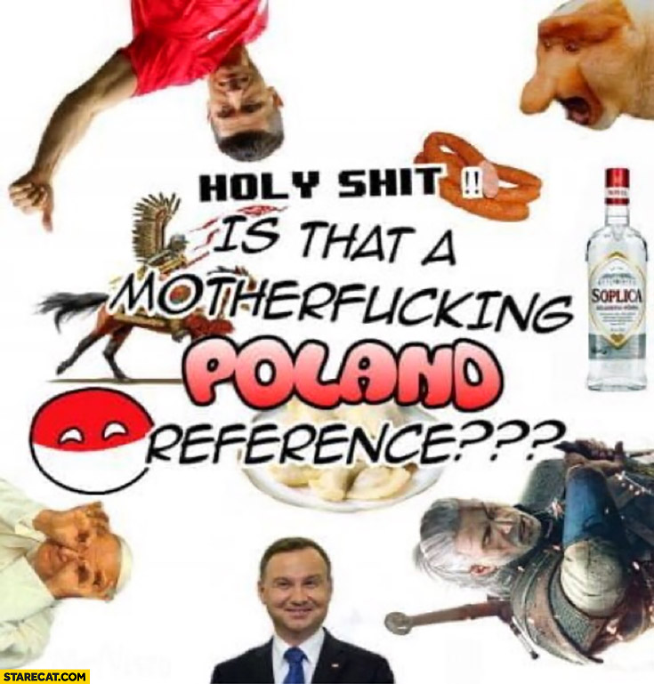 Holy shit is that a Poland reference? meme