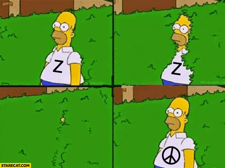 Homer Simpson with symbol Z after mobilization peace