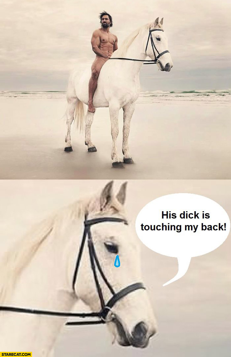 Horse his dick is touching my back
