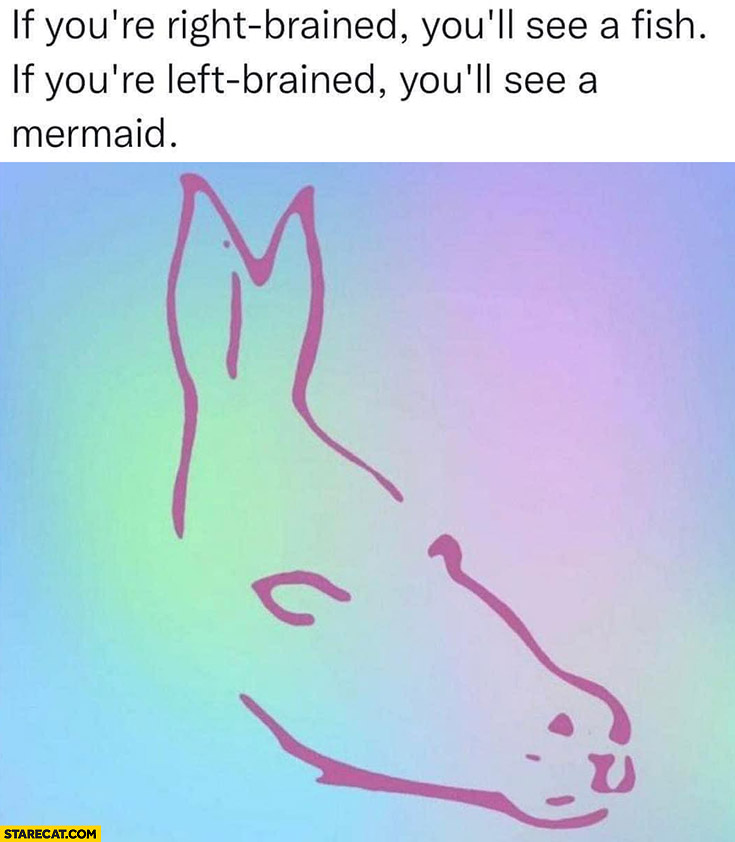 Horse if your right brained you’ll see a fish left-brained you’ll see a mermaid trolling