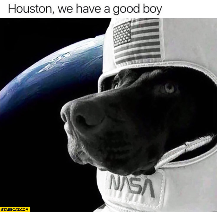 Houston we have a good boy astronaut dog in space NASA