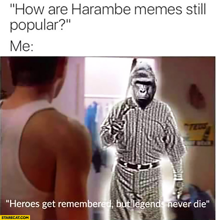How are harambe memes still popular? Me: heroes get remembered but legends never die