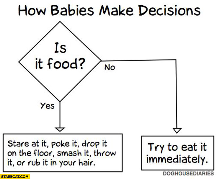 How babies make decisions: is it food? Yes/no: try to eat it immediately