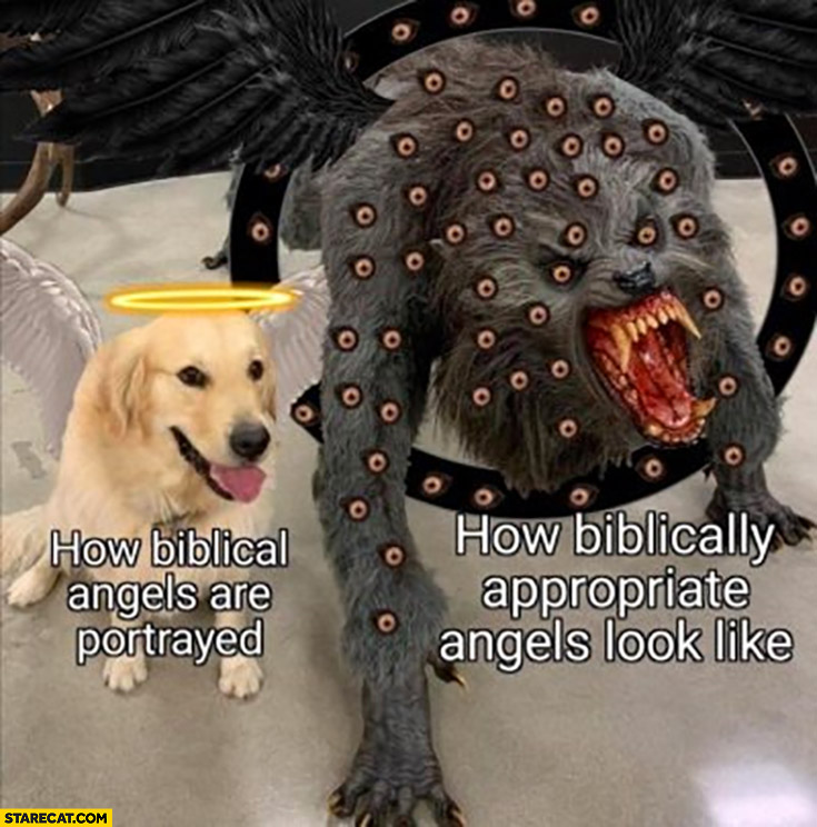 How biblical angels are portrayed cute dog vs how biblically appropriate angels look like monster with many eyes