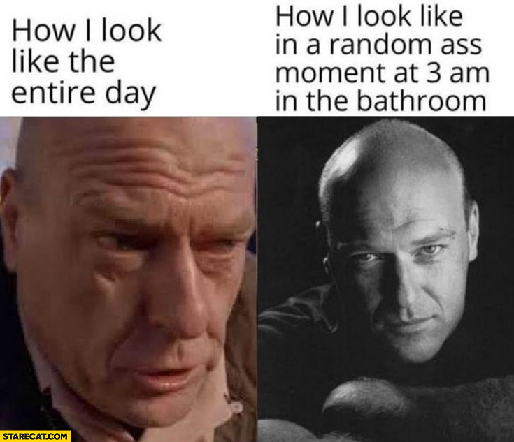 How I look like the entire day vs how I look like in a random ass moment at 3 am in the bathroom