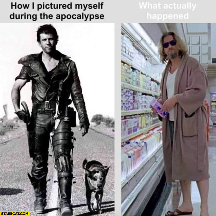 How I pictured myself during the apocalypse vs what actually happened comparison