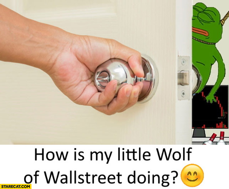 How is my little wolf of wallstreet doing hanging sad frog pepe