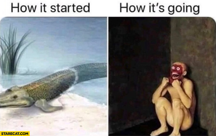 How it started: sea animal walking on land vs how it’s going fail