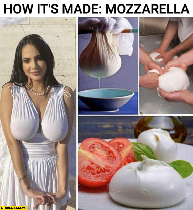 How it’s made mozzarella cheese woman breasts