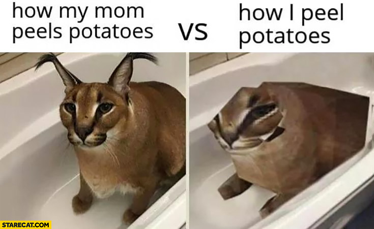 How my mom peels potatoes vs how I peel potatoes comparison