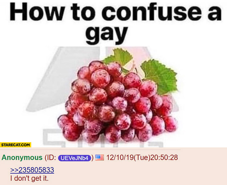 How to confuse a gay I don’t get it 4chan