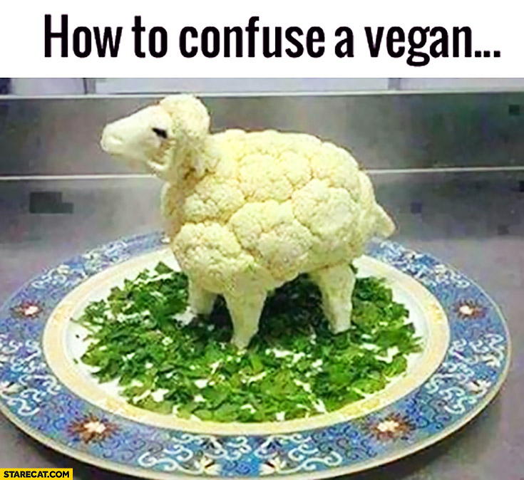 How to confuse a vegan: cauliflower looking like a sheep