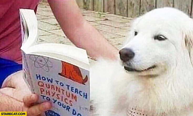 How to teach quantum physics to your dog reading