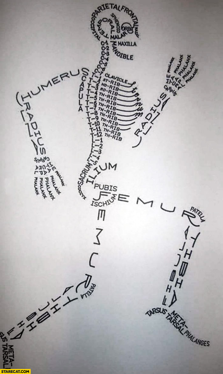 Human bone names creative infographic drawing